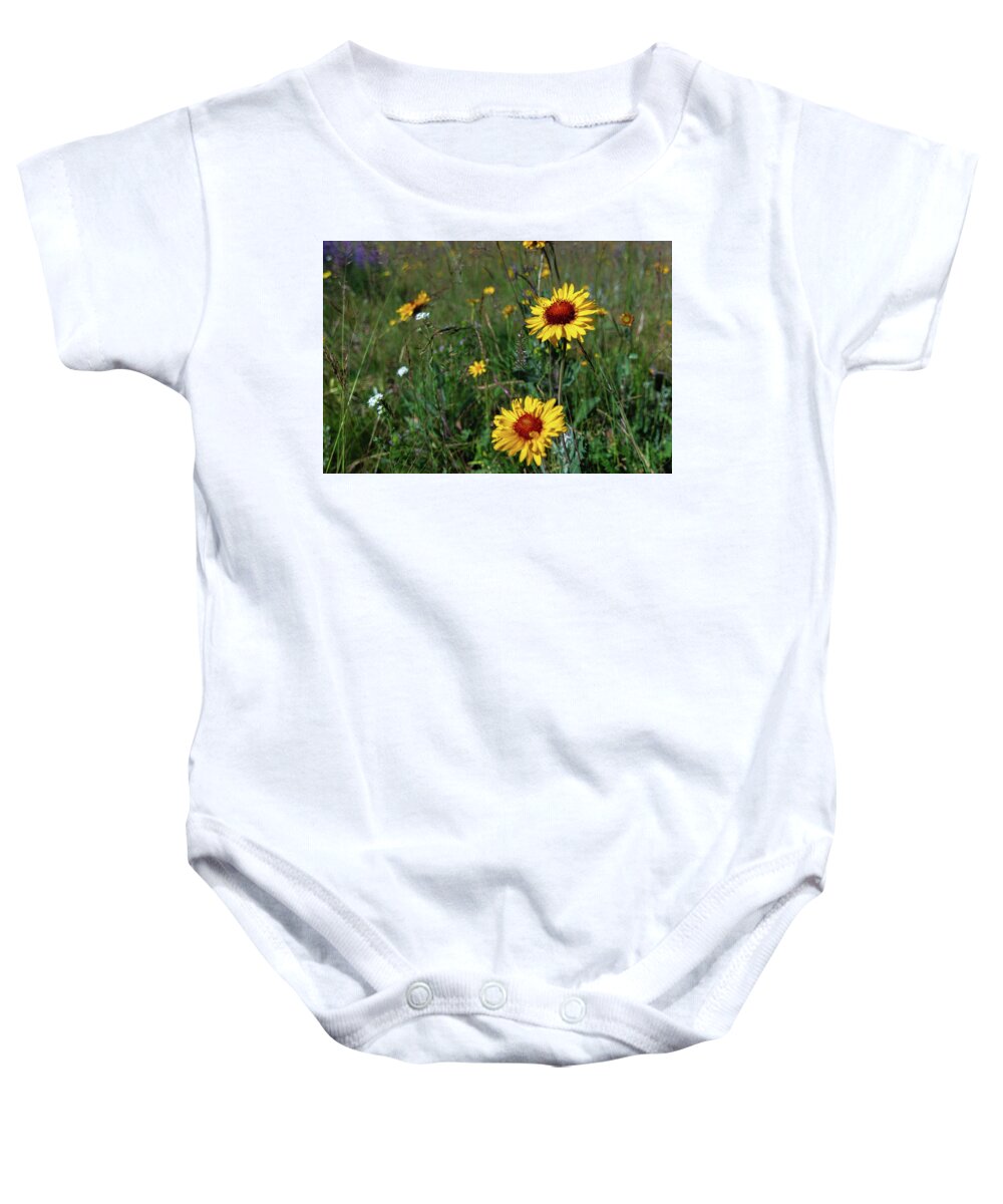 Wildflowers Baby Onesie featuring the photograph Montana Wildflowers #1 by Douglas Wielfaert