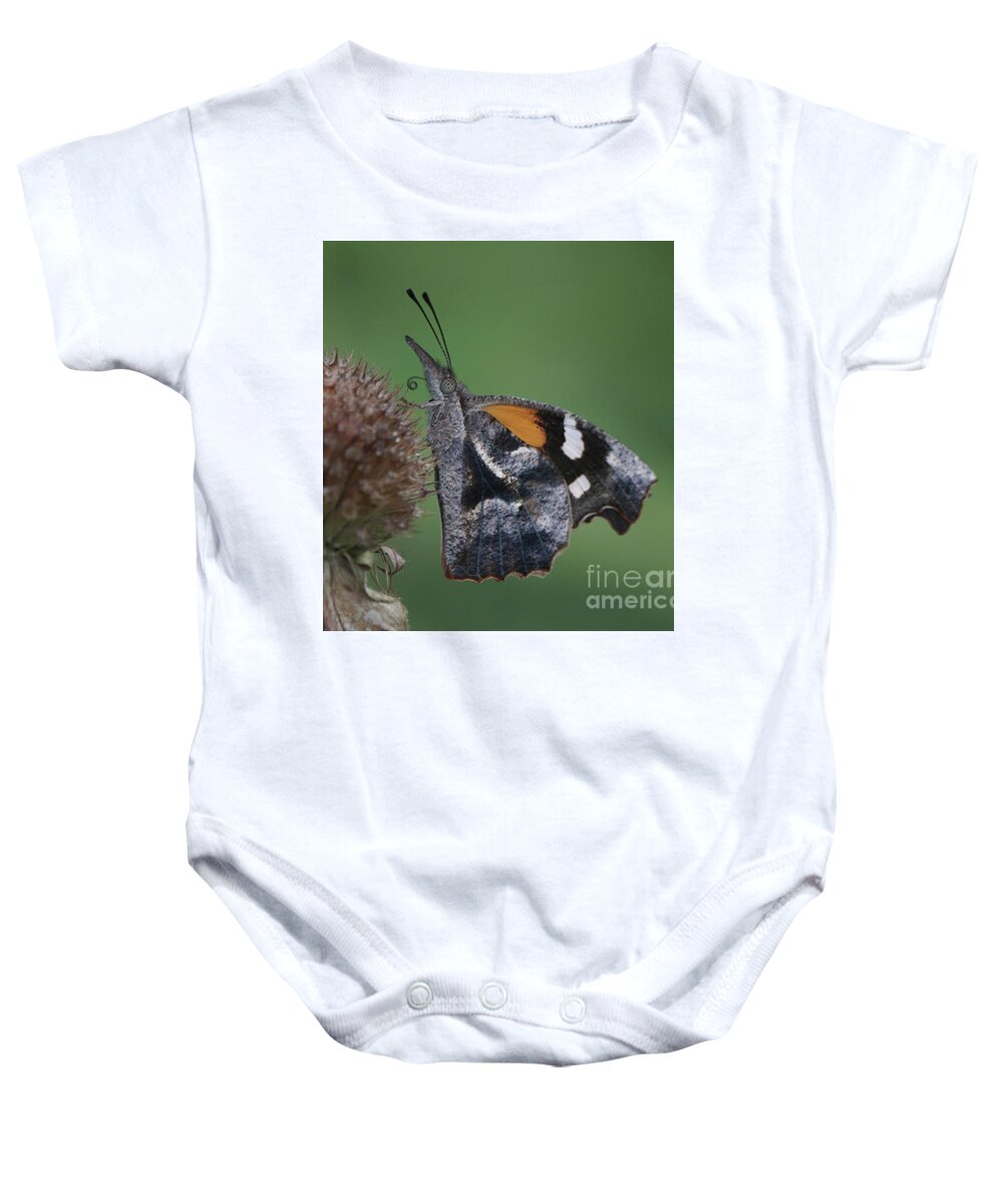 American Snout Butterfly Baby Onesie featuring the photograph American Snout Butterfly on Bee Balm Seed Head by Robert E Alter Reflections of Infinity
