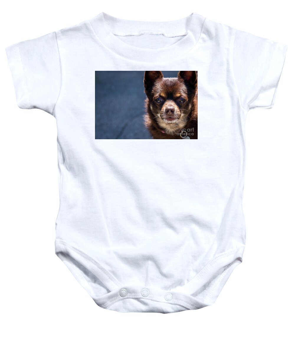 Mr Bear Baby Onesie featuring the photograph Attention by Shawn Jeffries