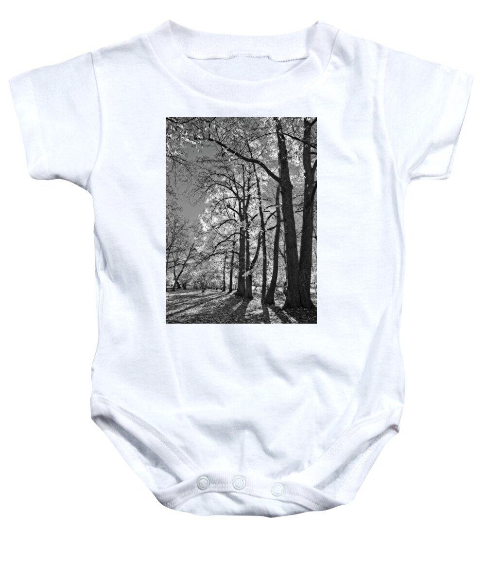 Landscape Baby Onesie featuring the photograph Autumn Through the Nut Trees Black and White by Allan Van Gasbeck