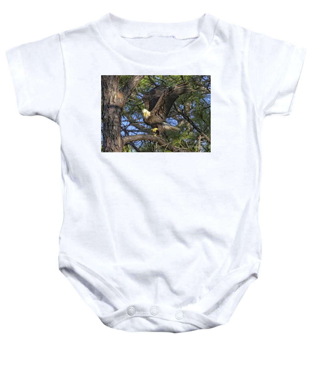 Eagles Baby Onesie featuring the photograph Bald Eagle by DB Hayes