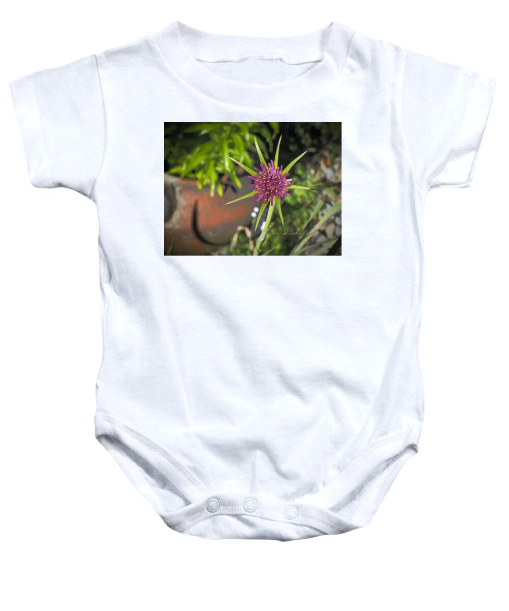 Botanical Baby Onesie featuring the photograph Beautiful Salsify Bloom by Richard Thomas