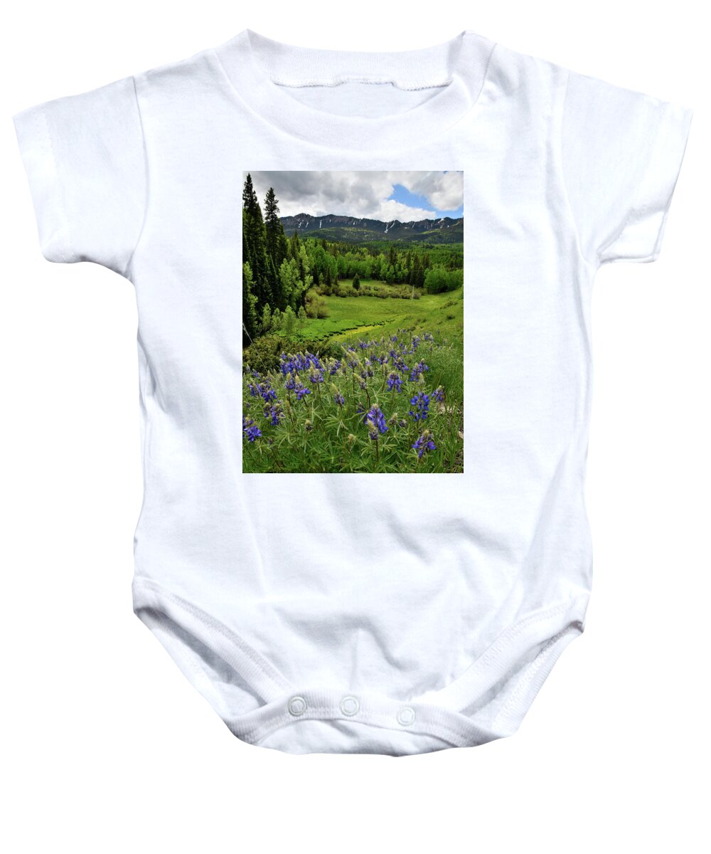 Highway 50 Baby Onesie featuring the photograph Big Cimarron Lupine by Ray Mathis