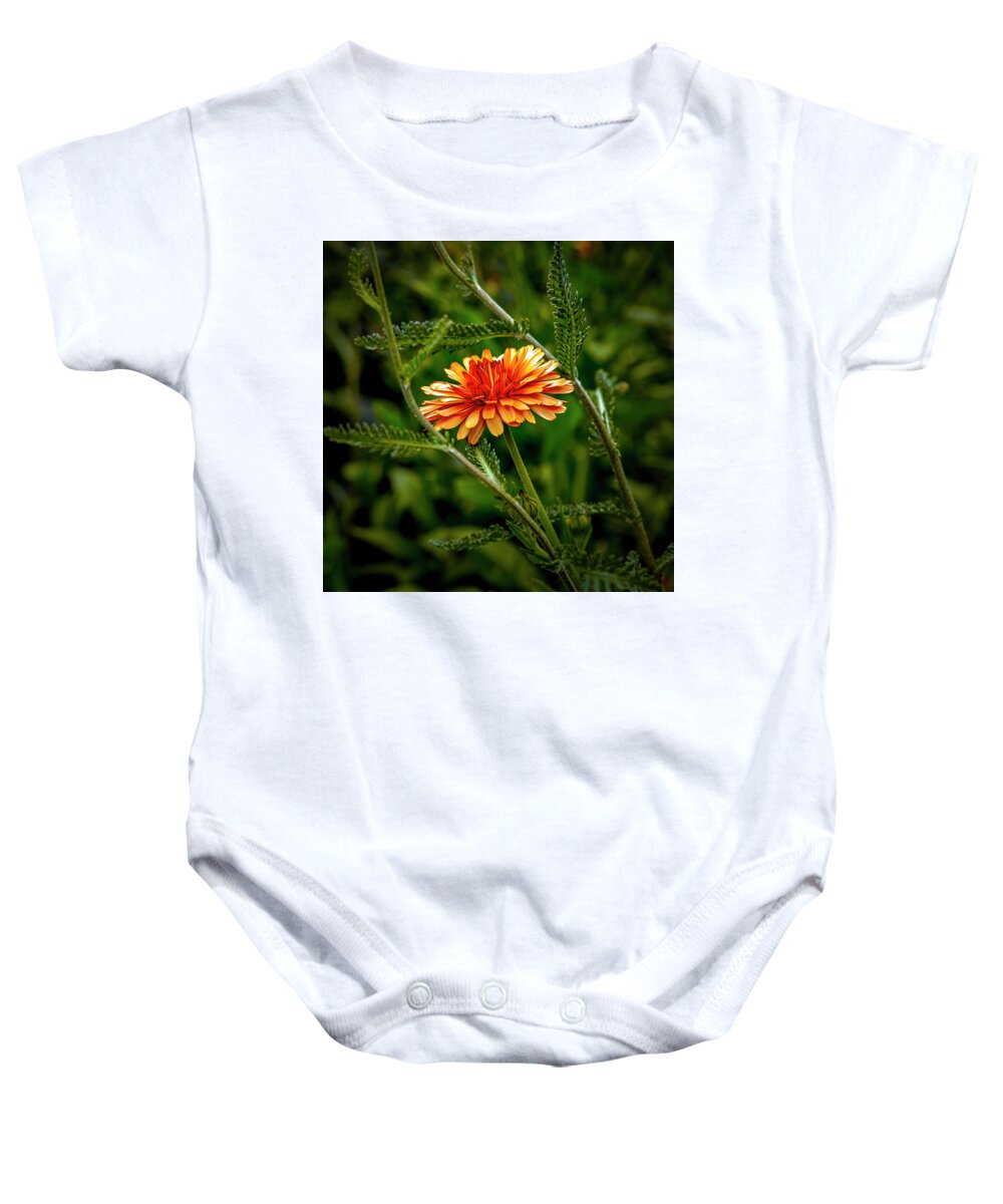 Bright Orange Baby Onesie featuring the photograph Bright Orange #i9 by Leif Sohlman
