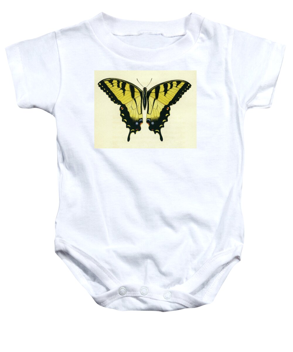 Entomology Baby Onesie featuring the mixed media Butterfly by Unknown
