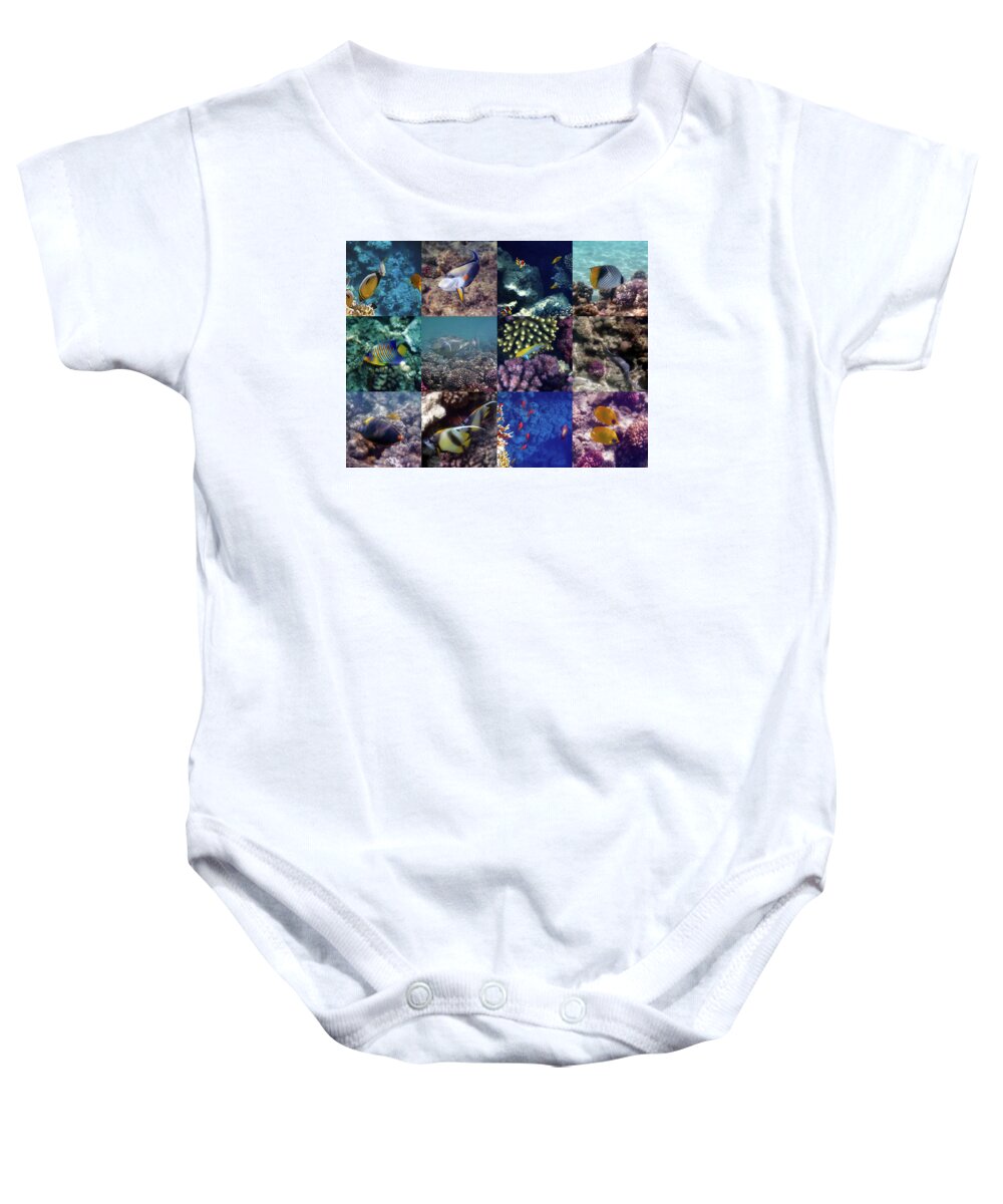 Colorful Baby Onesie featuring the photograph Colorful And Exotic Red Sea Underwater Collage by Johanna Hurmerinta