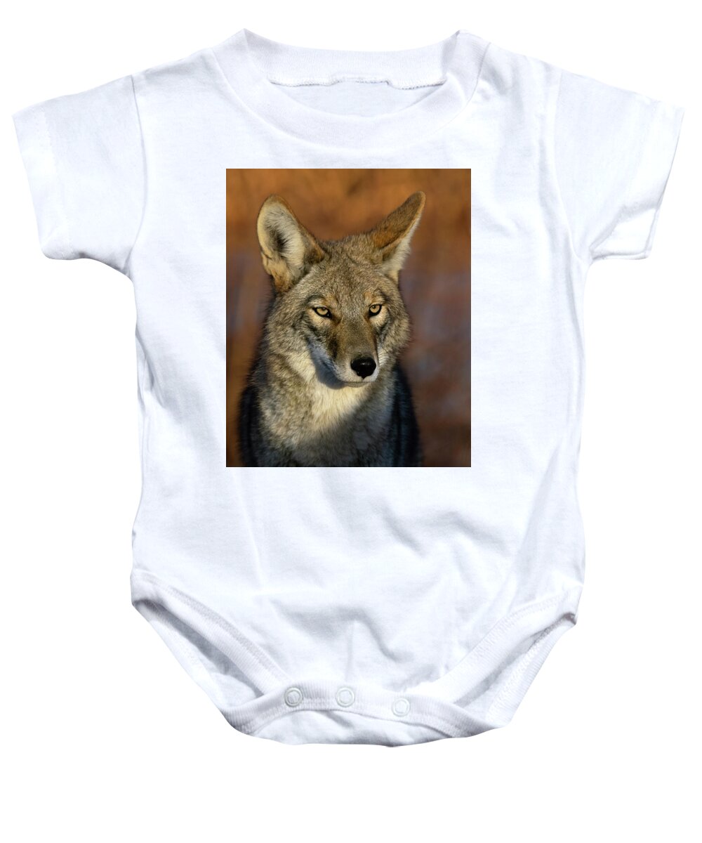 Coyote Baby Onesie featuring the photograph Coyote 1 by Rick Mosher