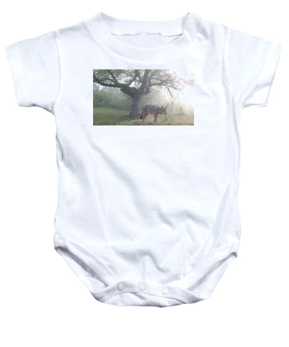 Cotoye Baby Onesie featuring the photograph Coyote In The Morning Mist by Thomas Phillips