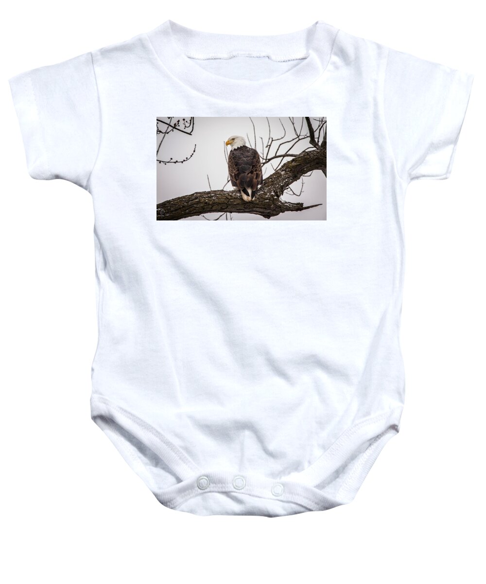 Haliaeetus Leucocephalus Baby Onesie featuring the photograph Eagle Watch by Ray Congrove