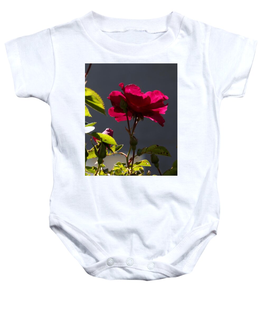 Botanical Baby Onesie featuring the photograph Good Afternoon Rose by Richard Thomas