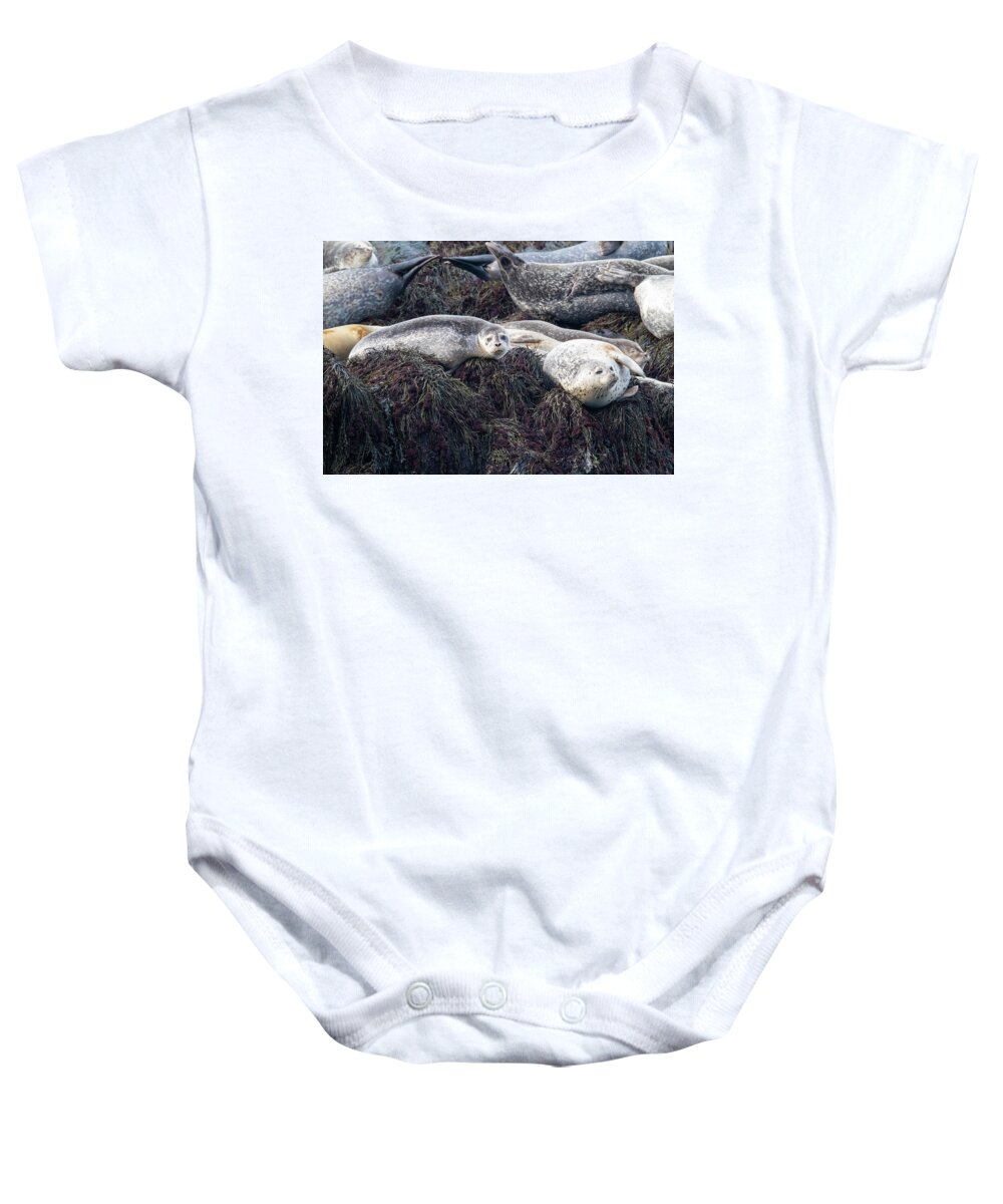 Scott Leslie Baby Onesie featuring the photograph Harbor Seals Along Bay of Fundy by Scott Leslie