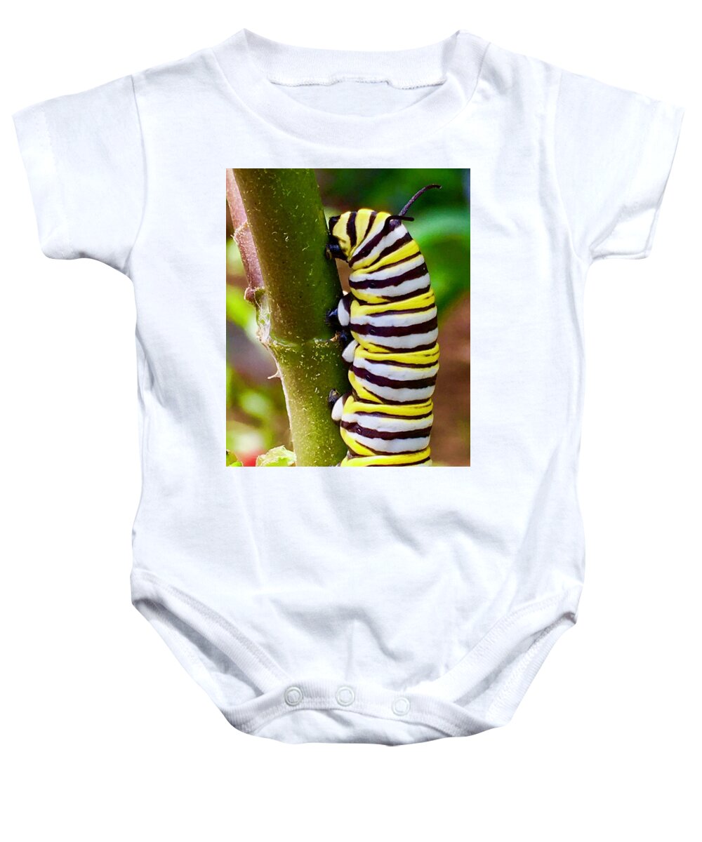 Caterpillar Baby Onesie featuring the photograph Heading Out to Lunch by Debra Grace Addison