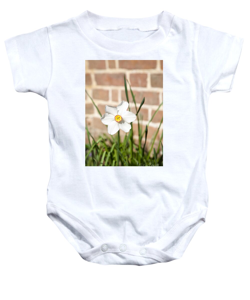 Daffodil Baby Onesie featuring the photograph Heirloom Daffodil by Lara Morrison