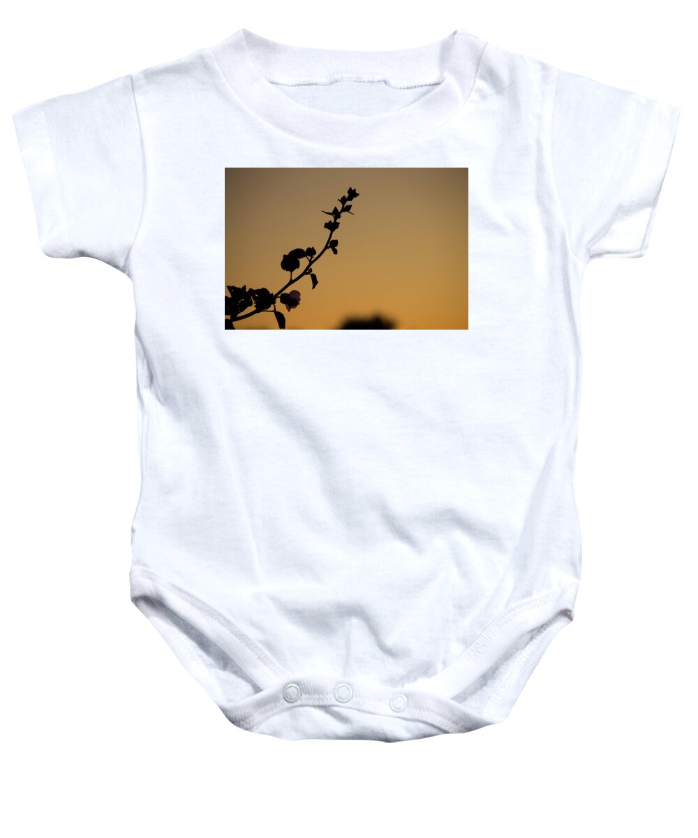 Hollyhock Baby Onesie featuring the photograph Hollyhock at Dawn by Jonathan Thompson