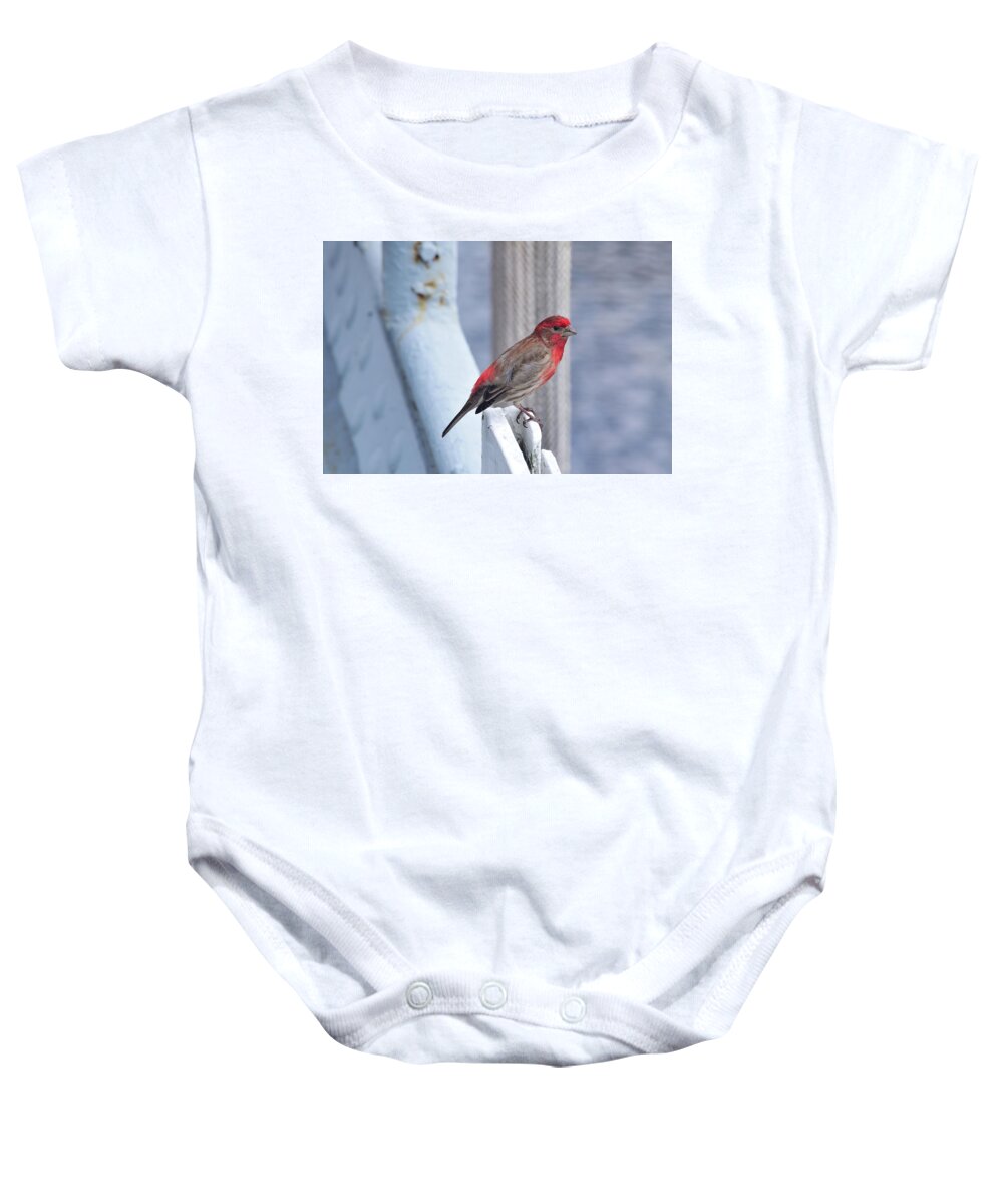Finch Baby Onesie featuring the photograph House Finch on the U.S.S. Wisconsin by Nicole Lloyd