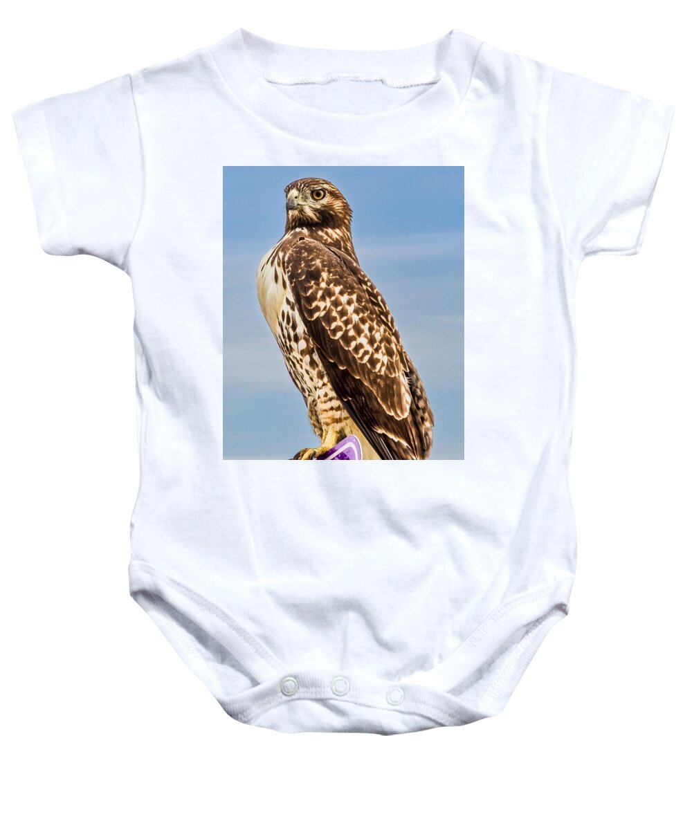 Hawk Baby Onesie featuring the photograph I Am Watching You by Gene Parks