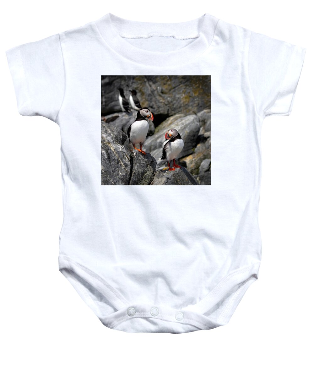 Atlantic Puffin Baby Onesie featuring the photograph I Love You by C Renee Martin