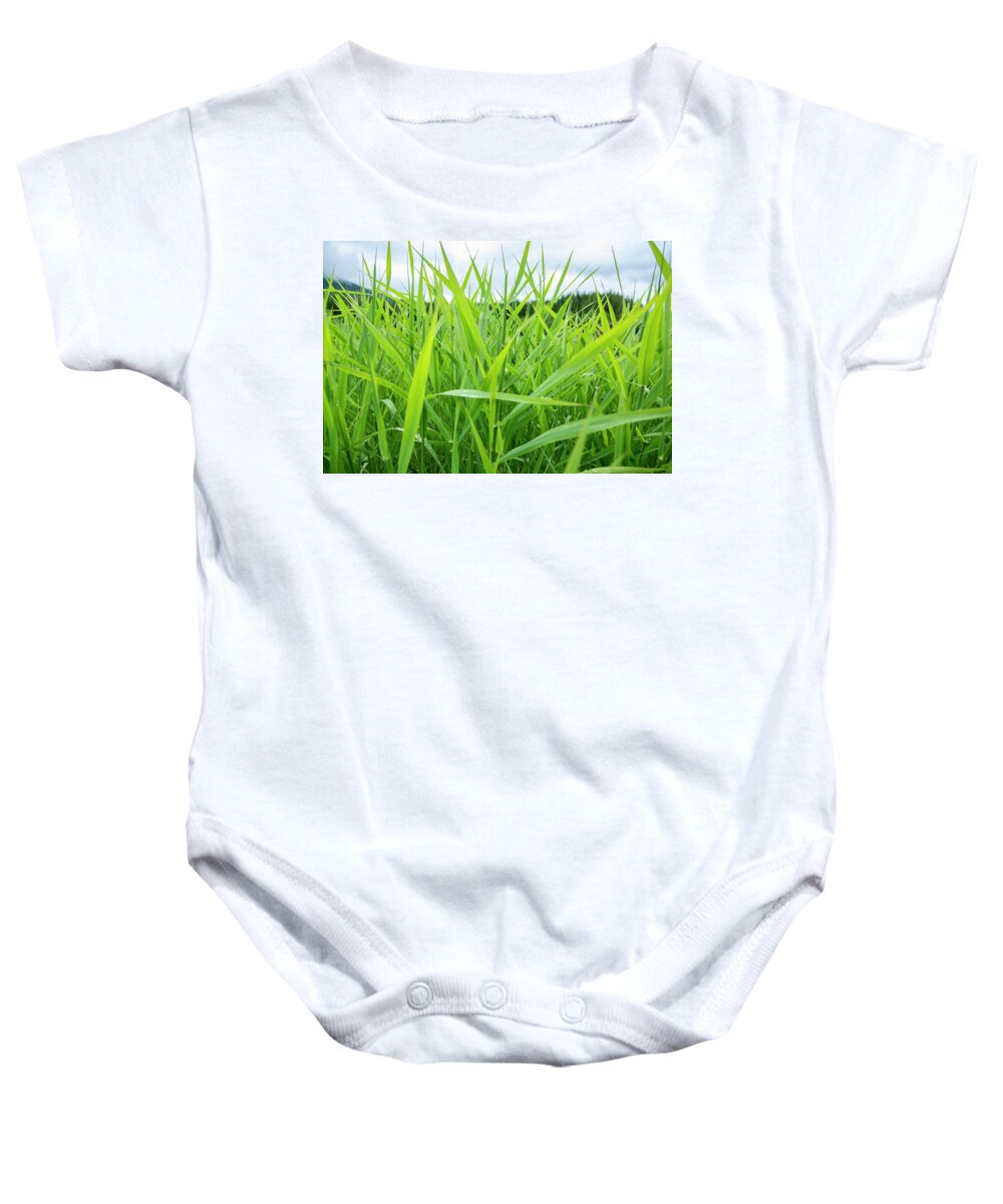 Alpine Baby Onesie featuring the photograph Lake Grass 2 by Pelo Blanco Photo
