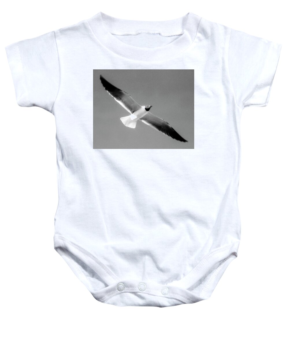 Laughing Seagull Baby Onesie featuring the photograph Laughing Seagull by Greg Reed