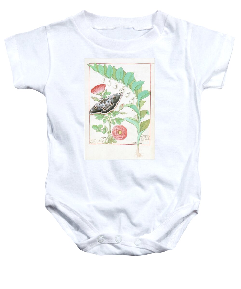 Matthaeus Platearius Baby Onesie featuring the drawing Le Livre des Simples Medecines, end 15th, early 16th, French, parchment. Rose and Sigilla Salomonis. by Matthaeus Platearius -12th cent -