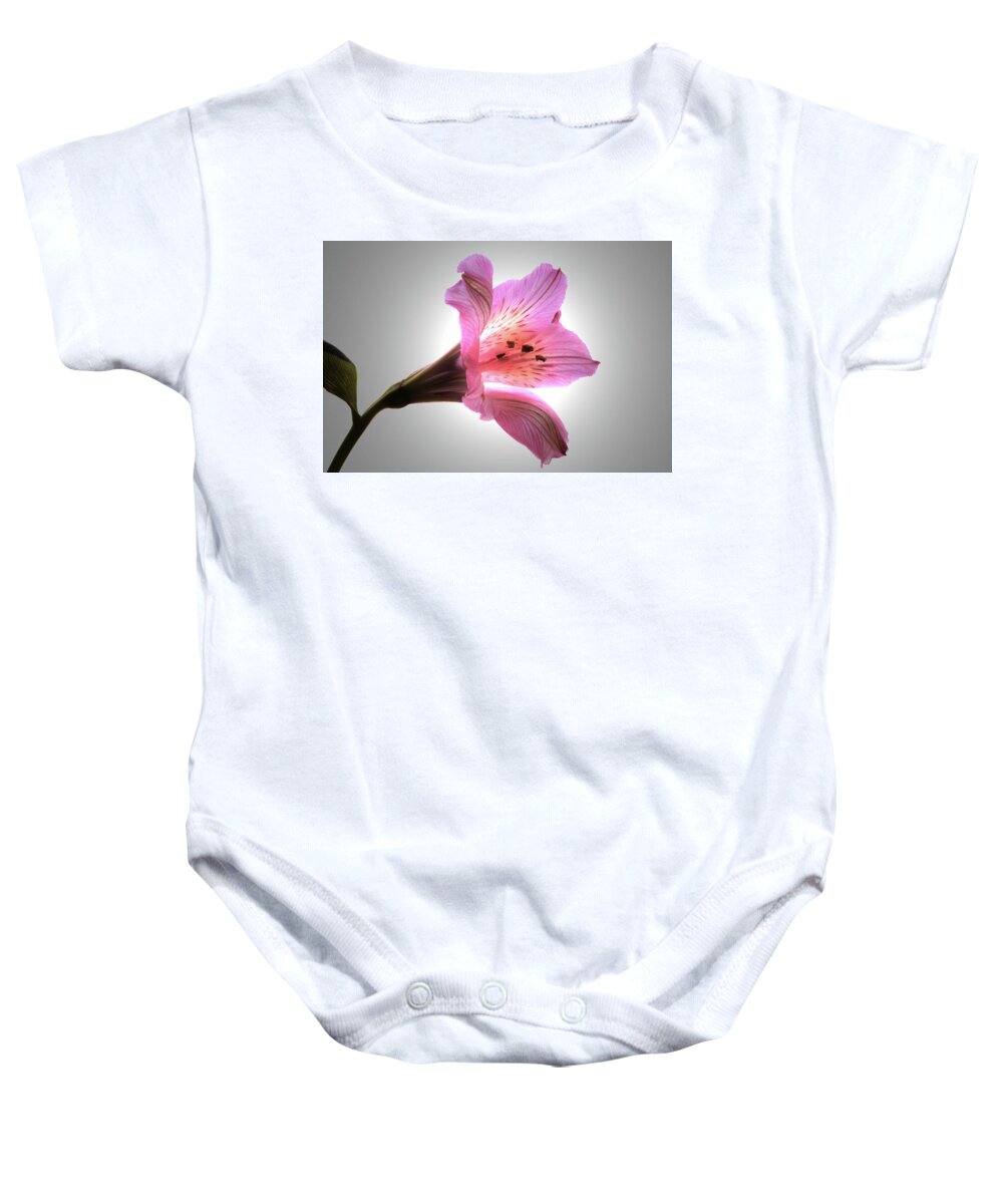 Peruvian Lily Baby Onesie featuring the photograph Light Through The Lily by Terence Davis