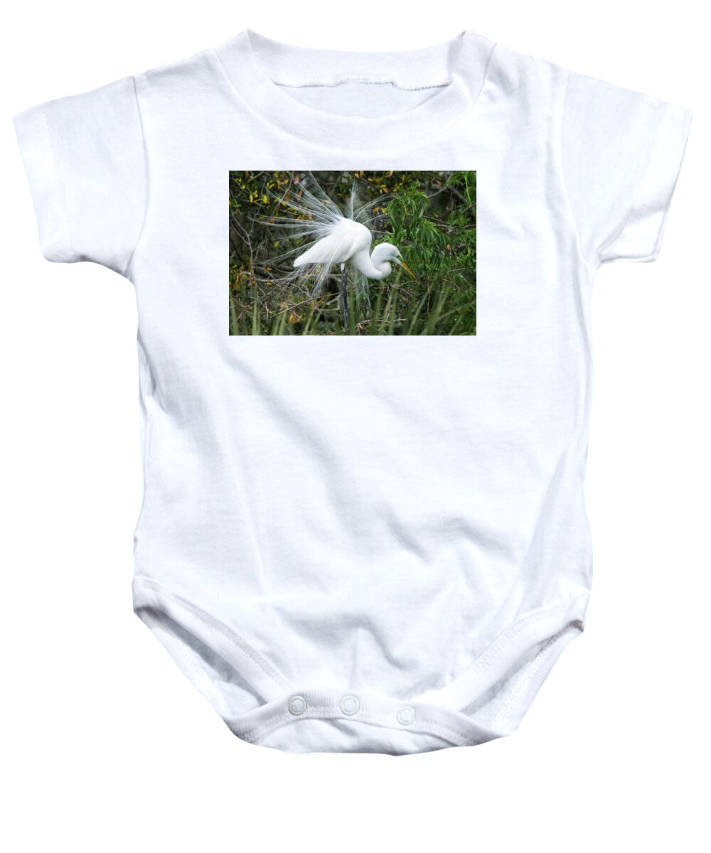 Great Egret Baby Onesie featuring the photograph Male Great Egret Dressed in His Finery by Mary Ann Artz