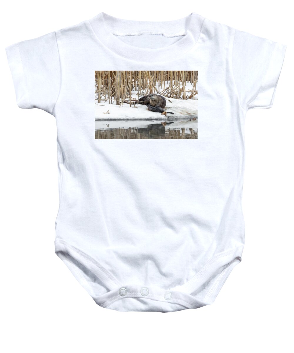 Otter Baby Onesie featuring the photograph My Catch by Ronnie And Frances Howard