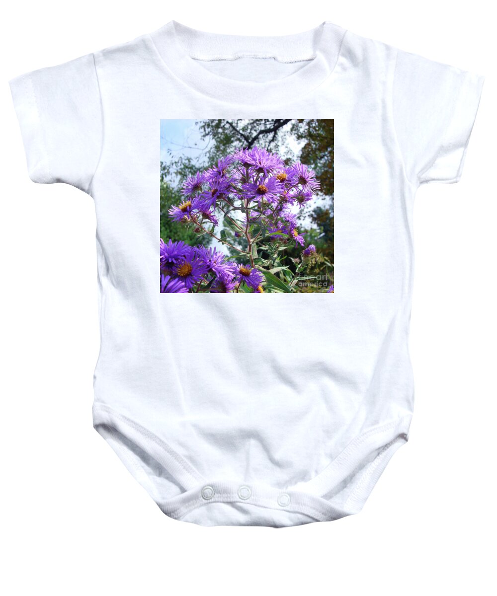 New England Aster Baby Onesie featuring the photograph New England Aster 9 by Amy E Fraser