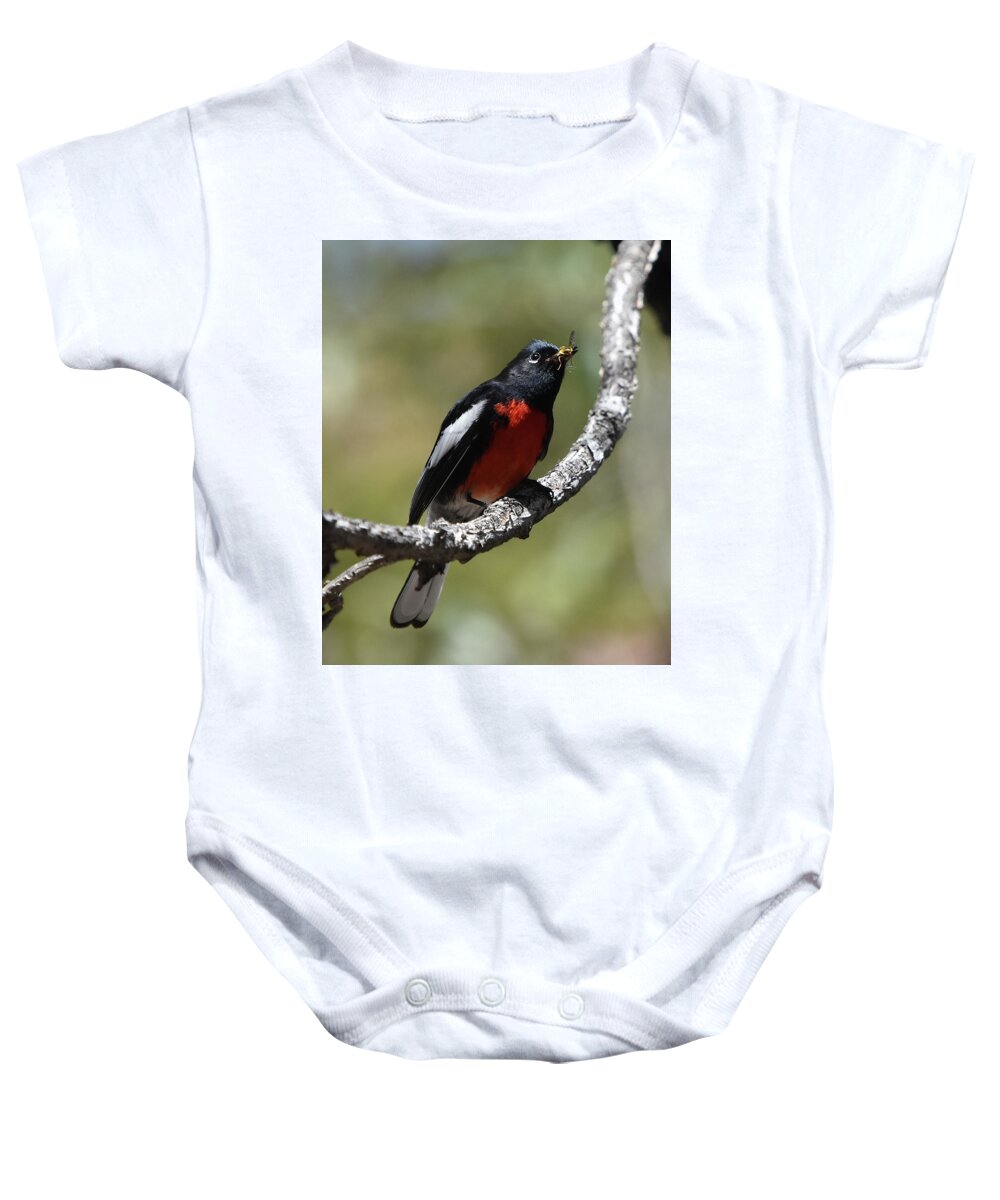 Bird Baby Onesie featuring the photograph Painted Restart with a Catch by Ben Foster