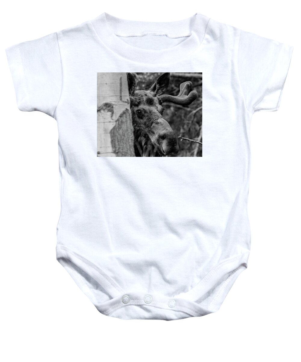 America Baby Onesie featuring the photograph Peek-A-Moose by ProPeak Photography