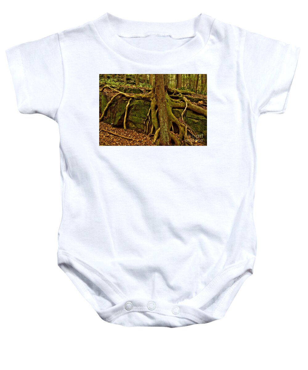 Trees Baby Onesie featuring the photograph Pennsylvania Tree Squid by Adam Jewell