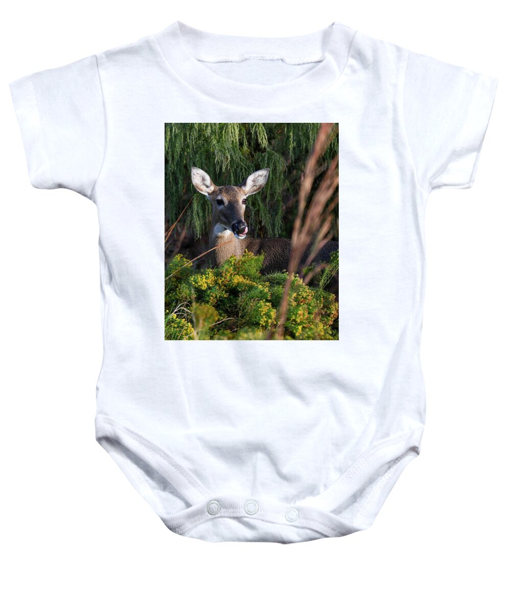 Florida Baby Onesie featuring the photograph Portrait of a Doe by T Lynn Dodsworth