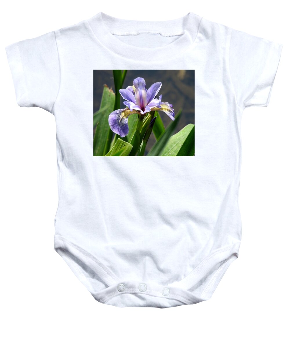 Purple Baby Onesie featuring the photograph Purple Iris by Kathy Chism