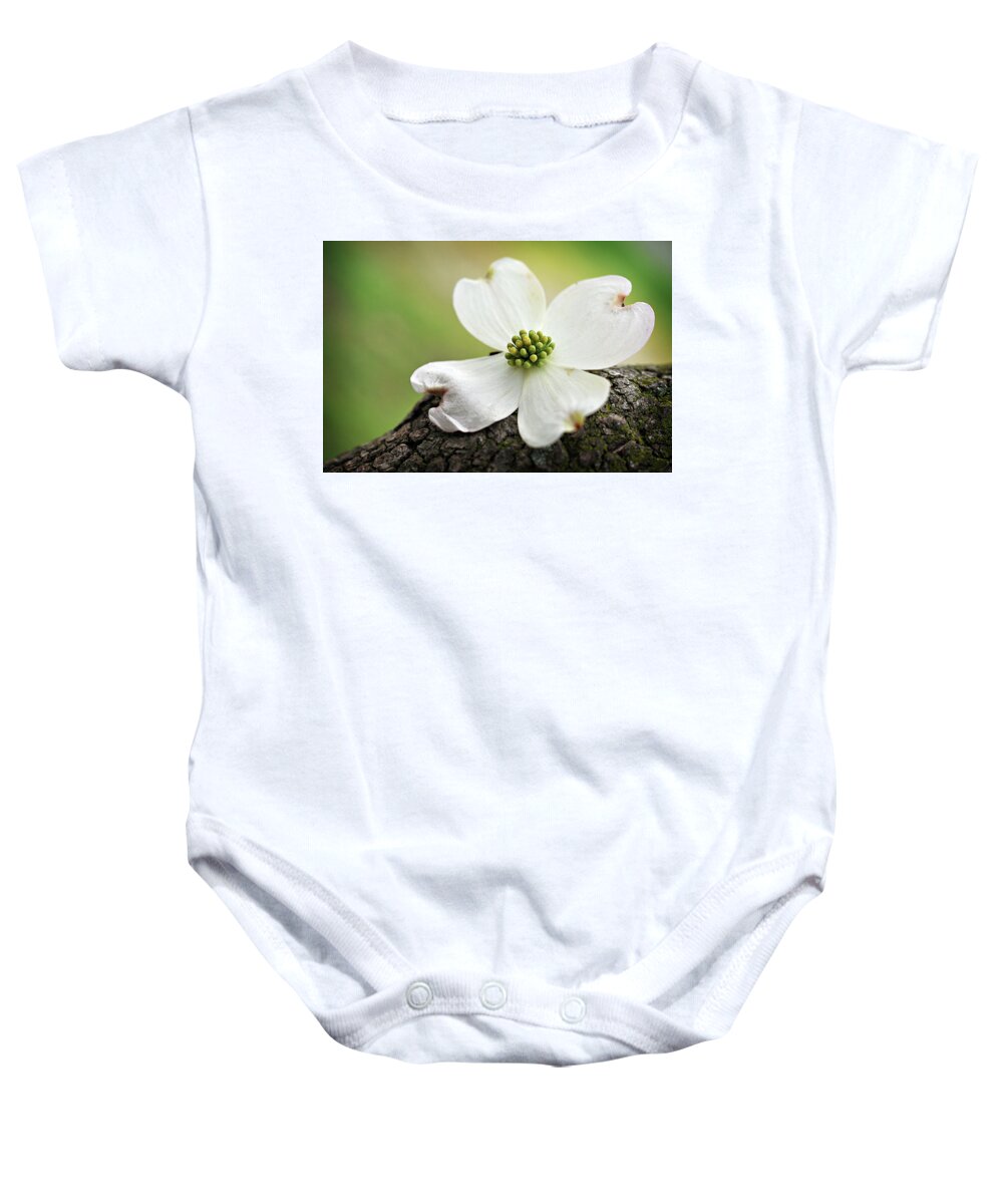 Dogwood Baby Onesie featuring the photograph Raining Sunshine by Michelle Wermuth