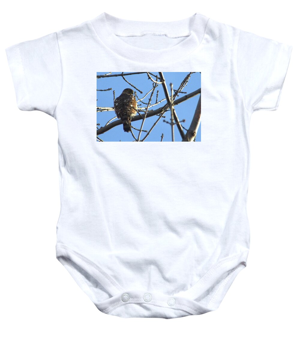 Sharp-shinned Hawk Baby Onesie featuring the photograph Rapace by Asbed Iskedjian