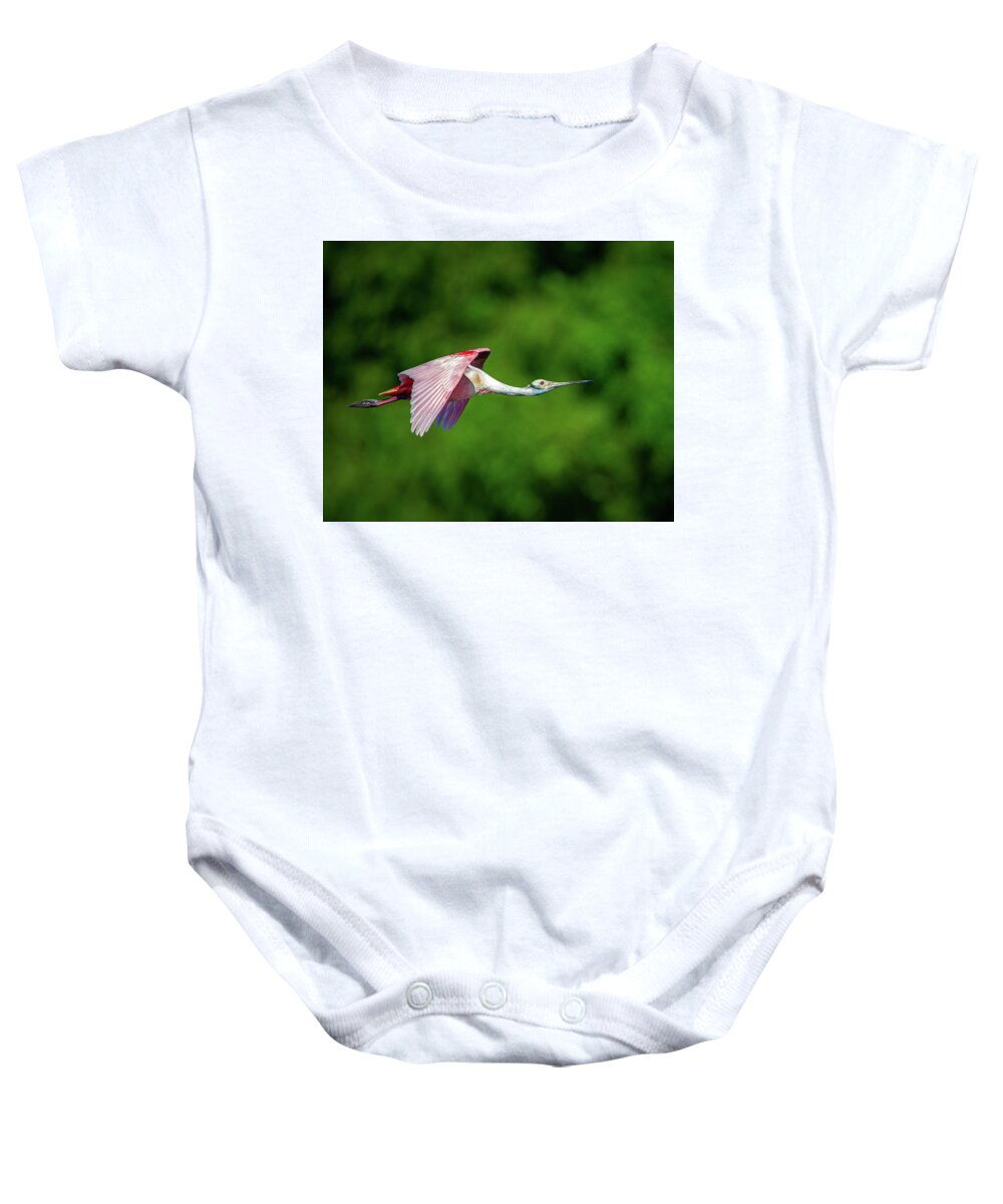 Rip Van Winkle Gardens Baby Onesie featuring the photograph Roseate Spoonbill by Jeff Phillippi
