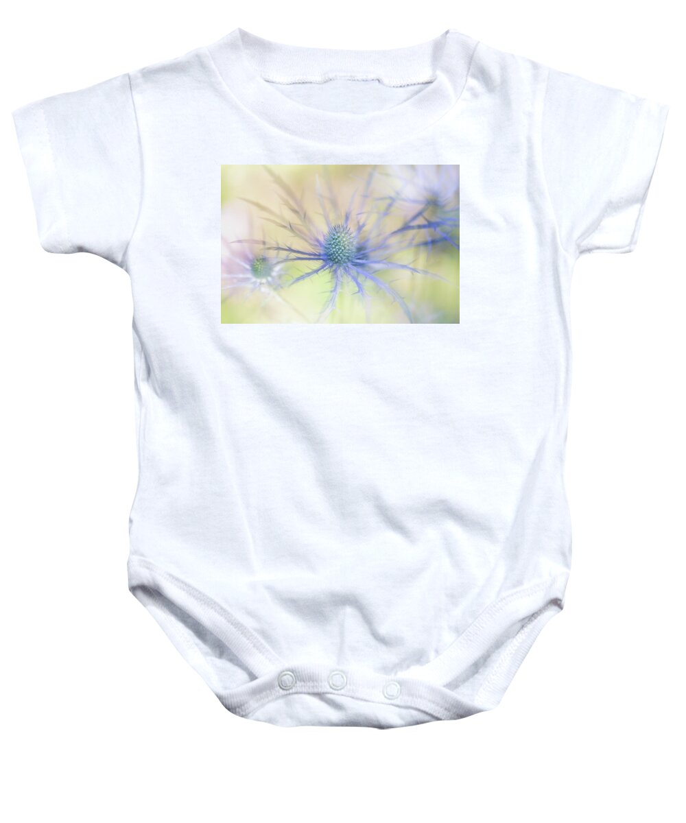 Sea Holly Baby Onesie featuring the photograph Sea Holly Dance by Anita Nicholson