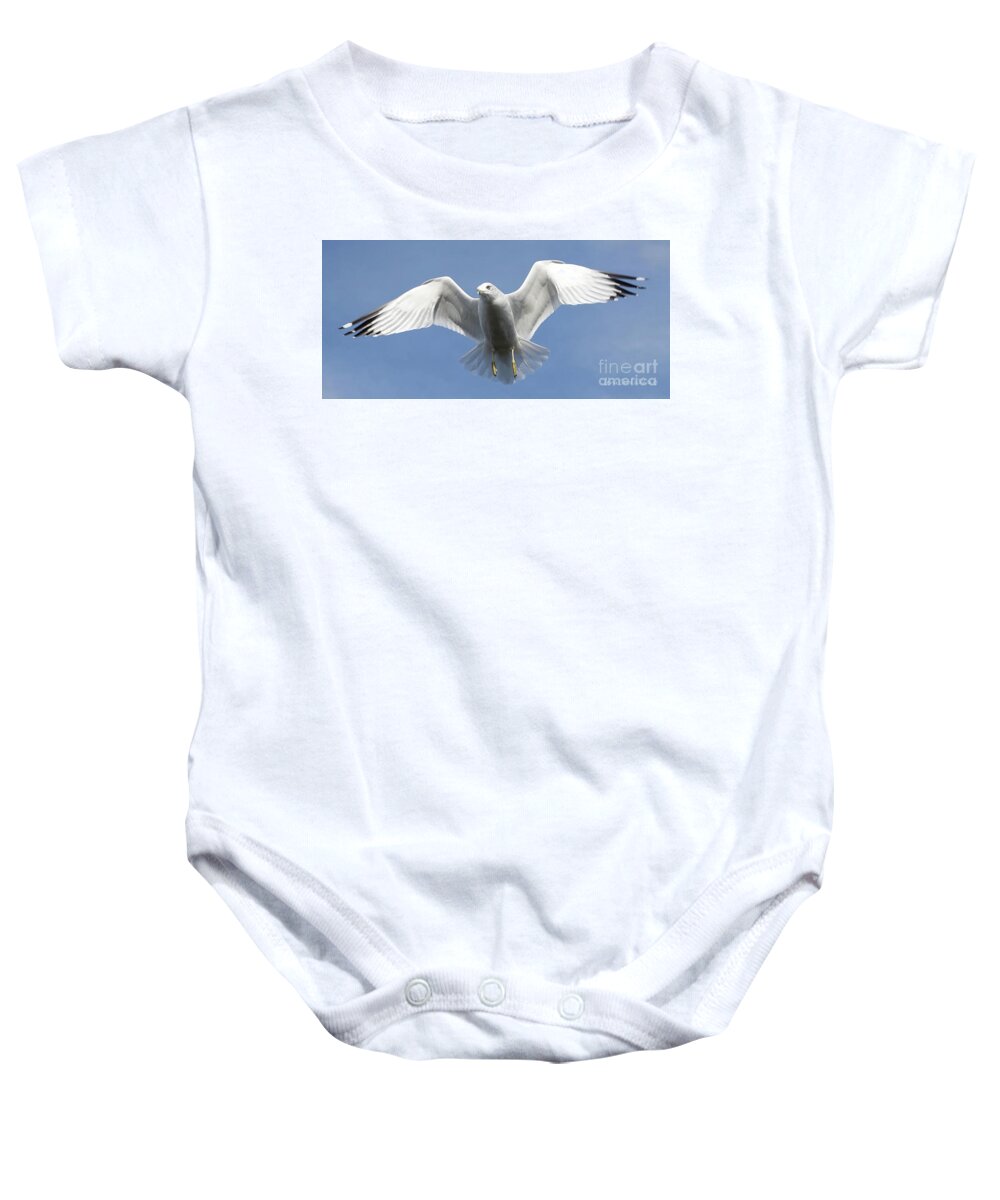 Seagull Baby Onesie featuring the photograph Seagull in Flight by Lena Wilhite