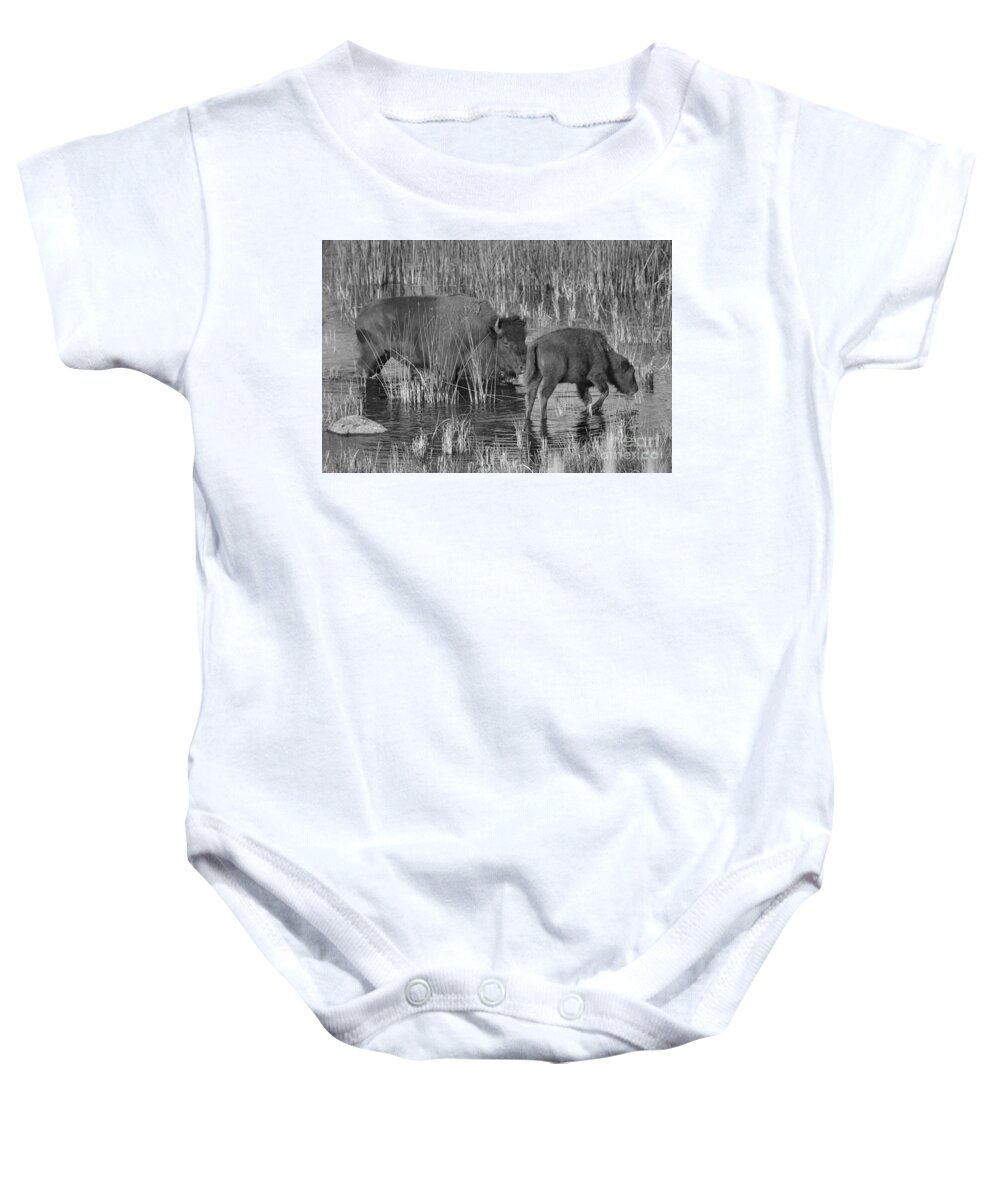 Bison Baby Onesie featuring the photograph Slough Creek Water Grazing Black And White by Adam Jewell