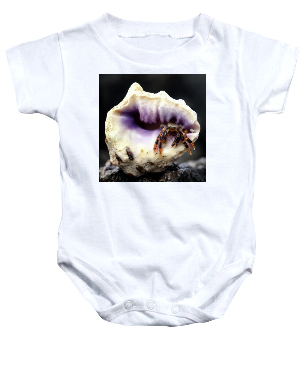 Hermit Crab Baby Onesie featuring the photograph Small Hermit Crab by Christopher Johnson
