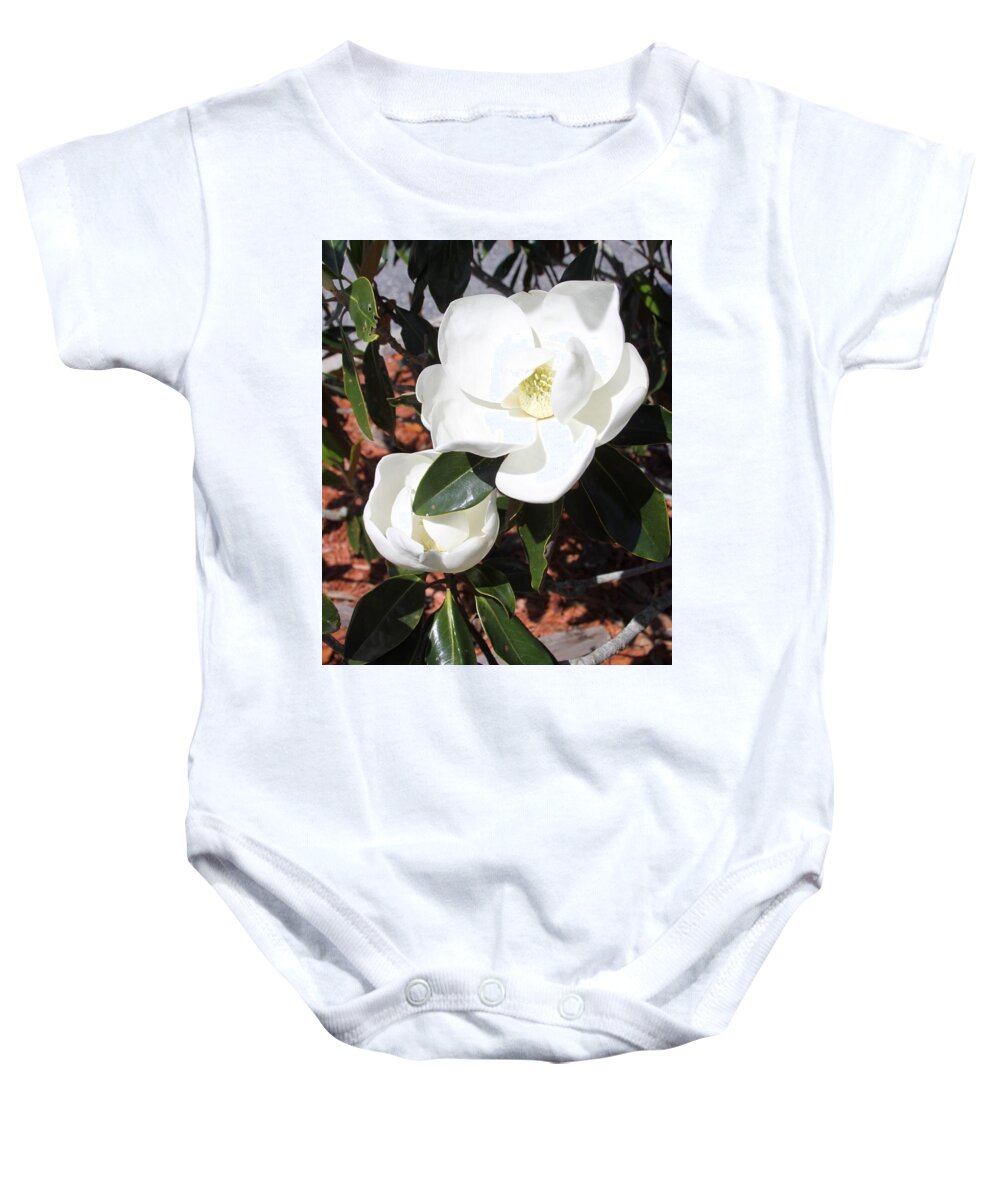 Snowy Baby Onesie featuring the photograph Snowy White Gardenia Blossoms by Philip And Robbie Bracco