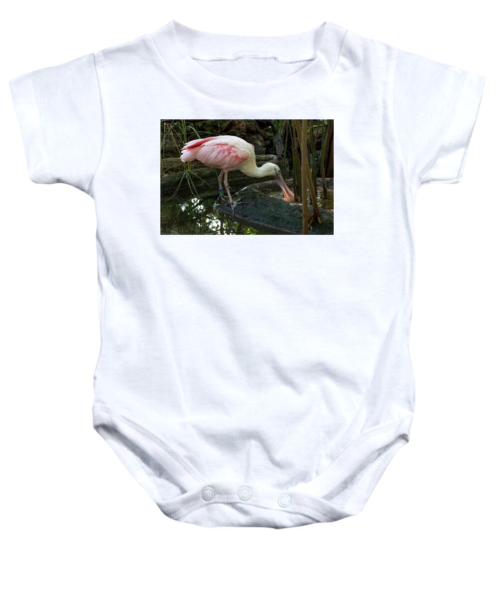 Bird Baby Onesie featuring the photograph Thirsty Spoonbill by Margaret Zabor