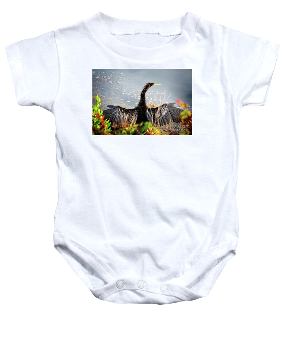 Anhinga Baby Onesie featuring the photograph Warming My Feathers by Kathy Strauss