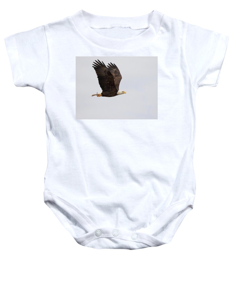 Eagle Baby Onesie featuring the photograph Winging Out by Art Cole
