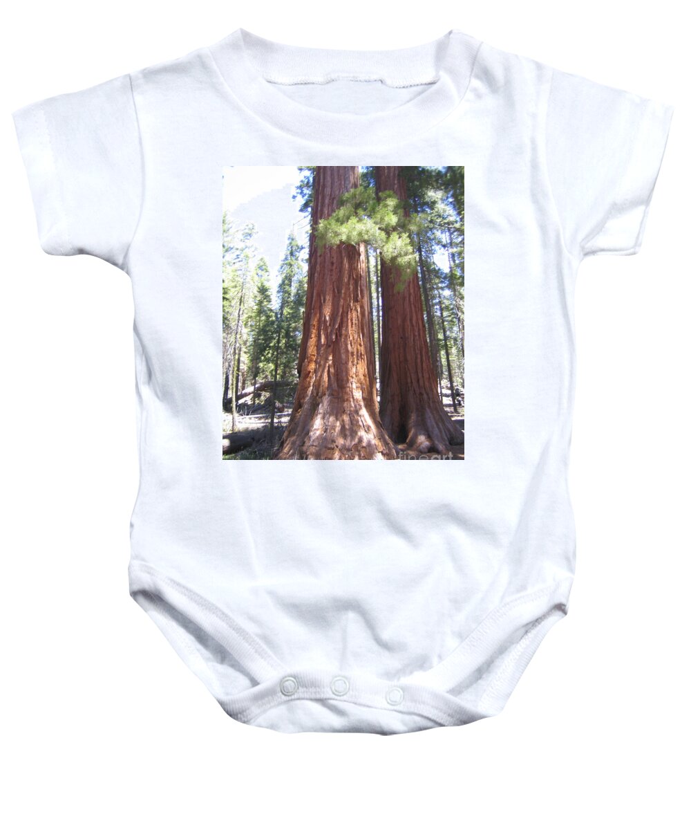 Yosemite Baby Onesie featuring the photograph Yosemite National Park Mariposa Grove Twin Giant Ancient Trees by John Shiron