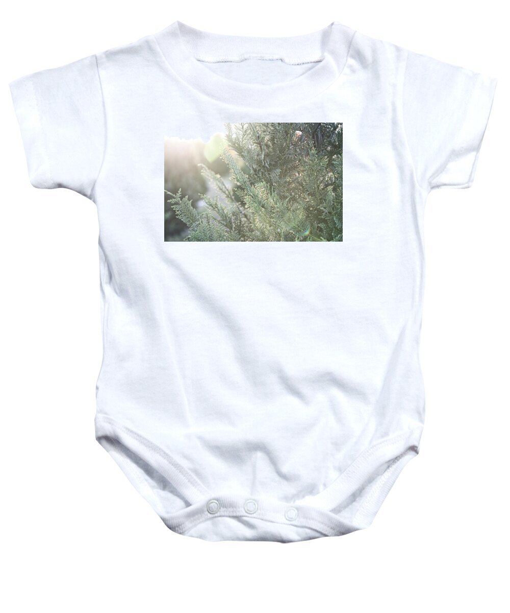 Minimalist Baby Onesie featuring the photograph Christmas Tree #1 by Andrea Anderegg