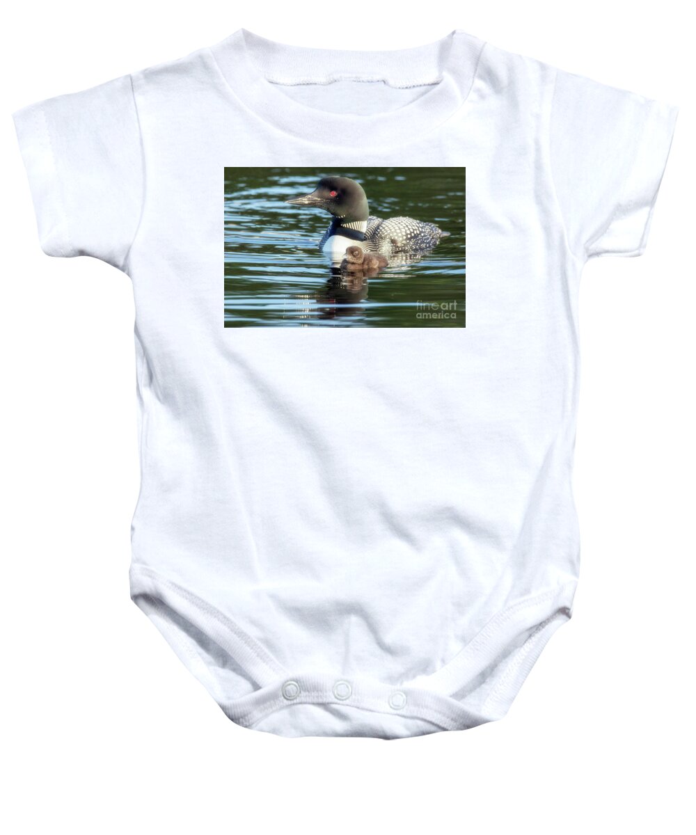 Loon Baby Onesie featuring the photograph Proud Momma - Common Loon - Gavia immer #1 by Spencer Bush