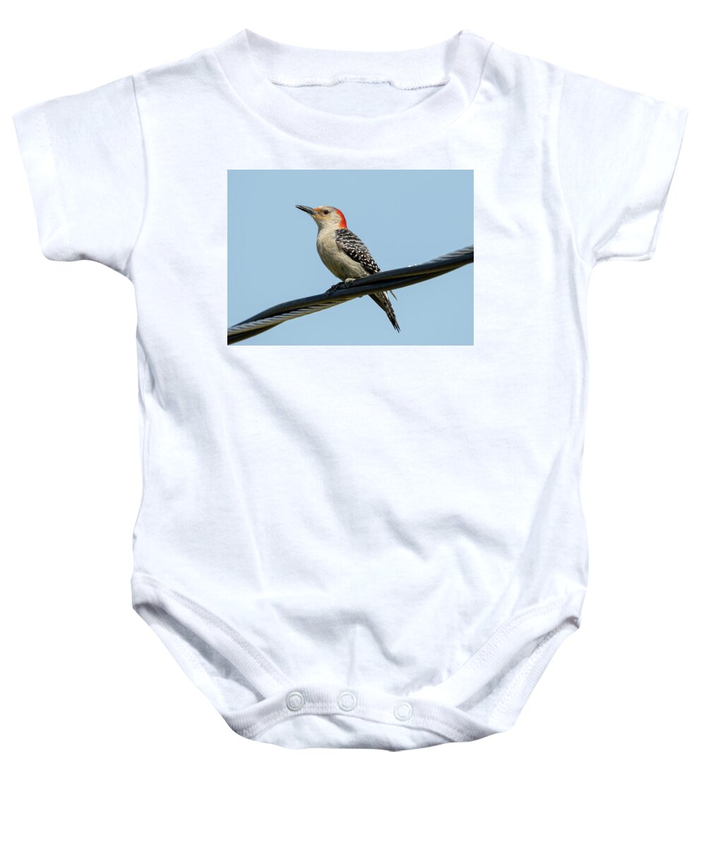 Woodpecker Baby Onesie featuring the photograph Red-Bellied Woodpecker #1 by Holden The Moment