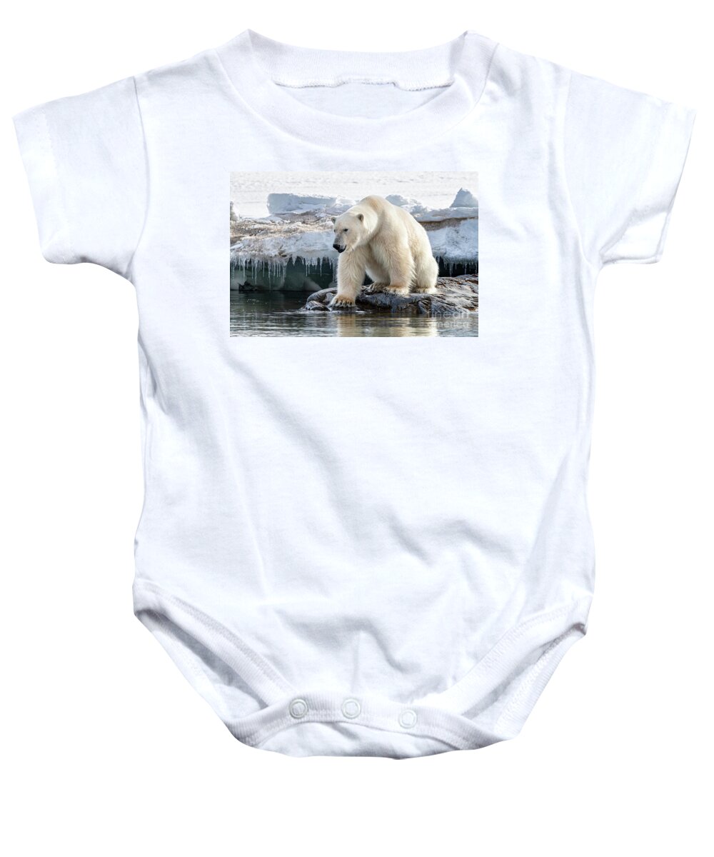 Polar Baby Onesie featuring the photograph Adult male polar bear at the ice edge in Svalbard #2 by Jane Rix