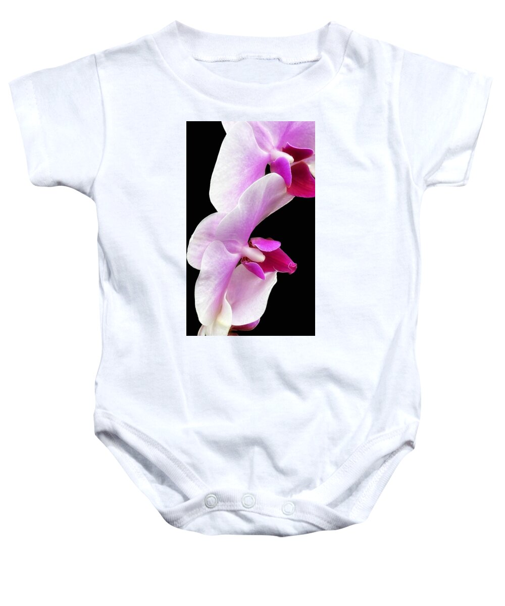 Bronx Botanical Garden Baby Onesie featuring the photograph 2 Orchids by JoAnn Lense